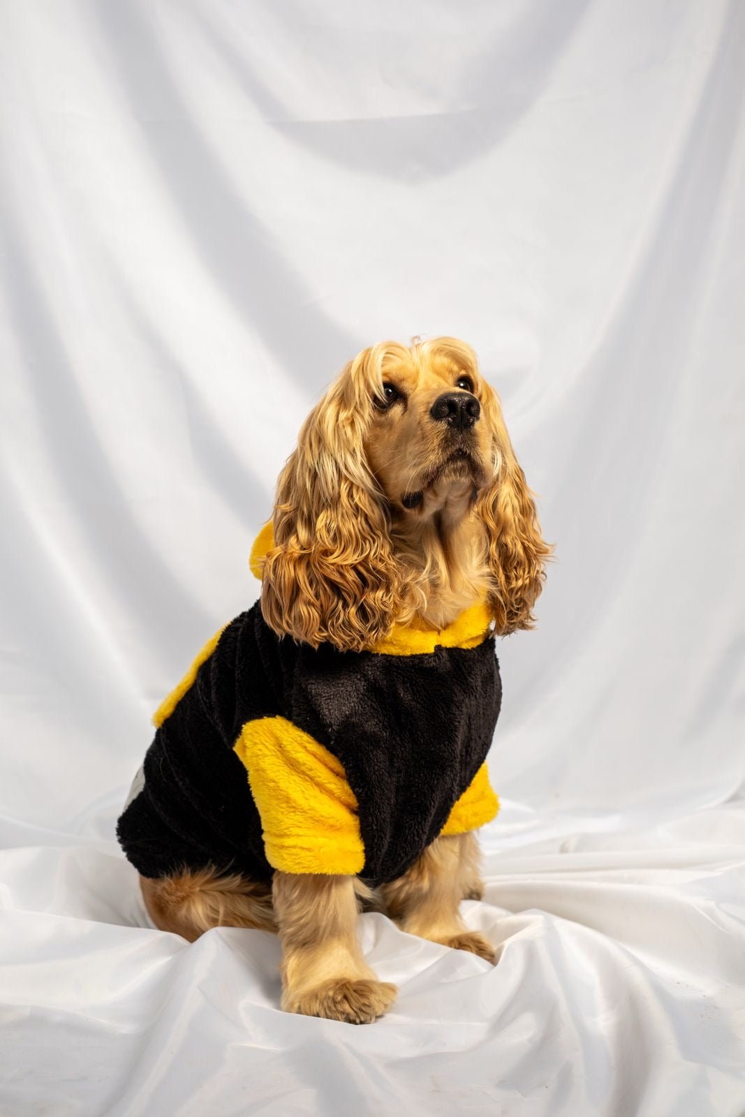 Black fleece in yellow - Astra - shop - eg