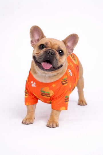 Burger dog outfit - Astra - shop - eg