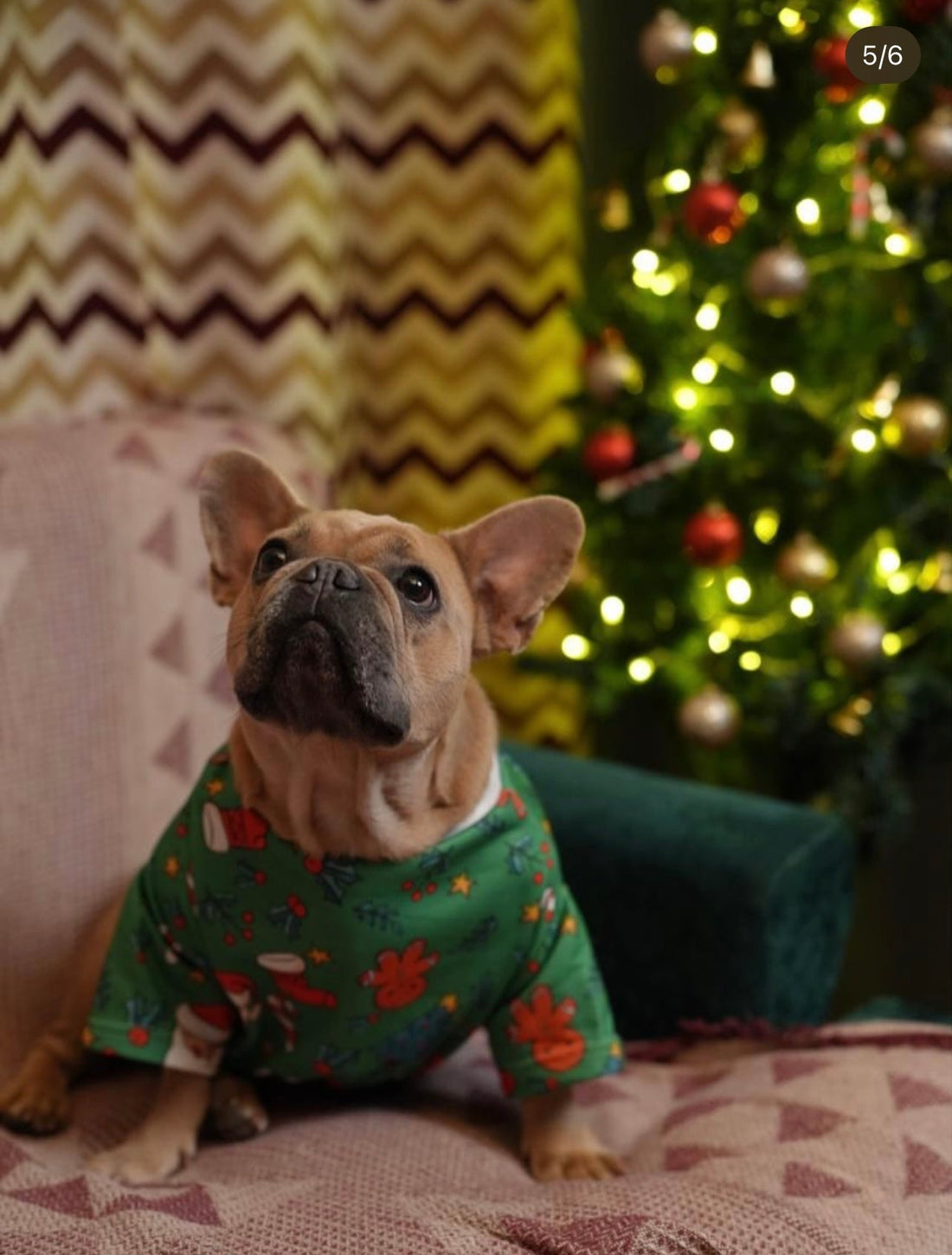 GREEN Christmas - Astra - shop - eg