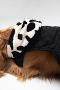 Moo meets black coat - Astra - shop - eg