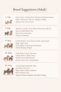 Moo meets brown coat - Astra - shop - eg