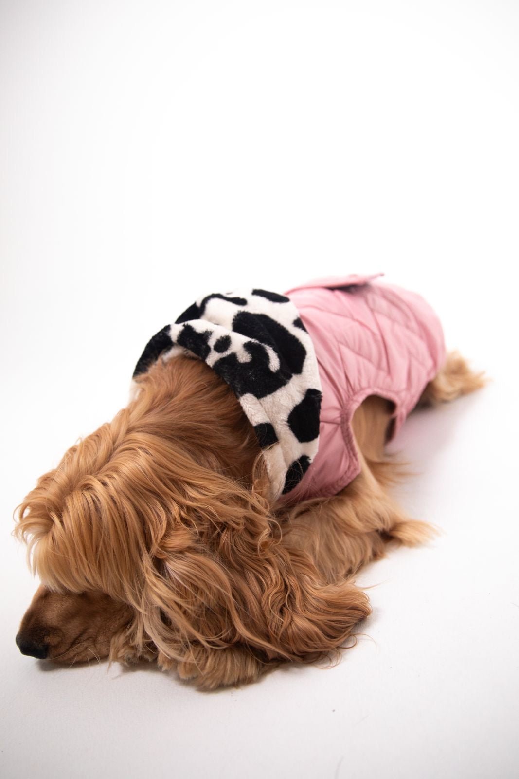 Moo meets pink coat - Astra - shop - eg