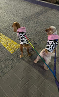 Moo set - Astra - shop - eg