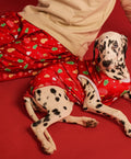 Red Christmas set - Astra - shop - eg