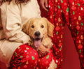 Red Christmas set - Astra - shop - eg