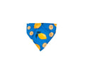S24 Dog bandanas - Astra - shop - eg