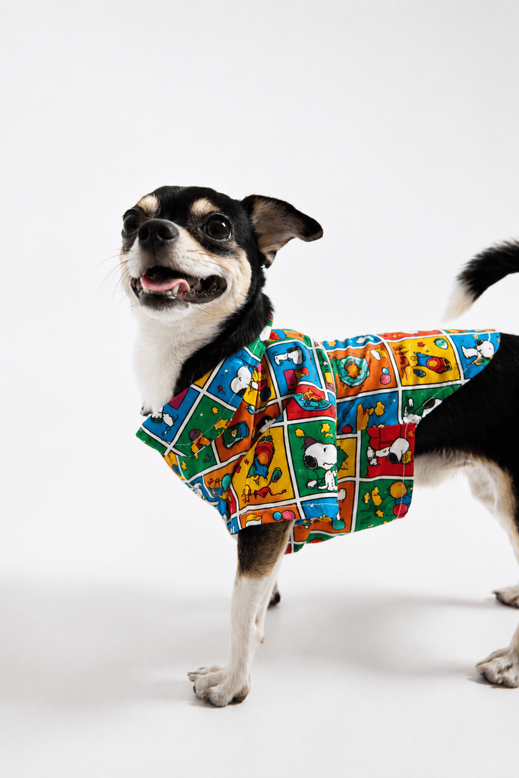 Snoopy street - Astra-shop-eg