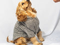 W25 Flubby hoodie Grey - Astra - shop - eg