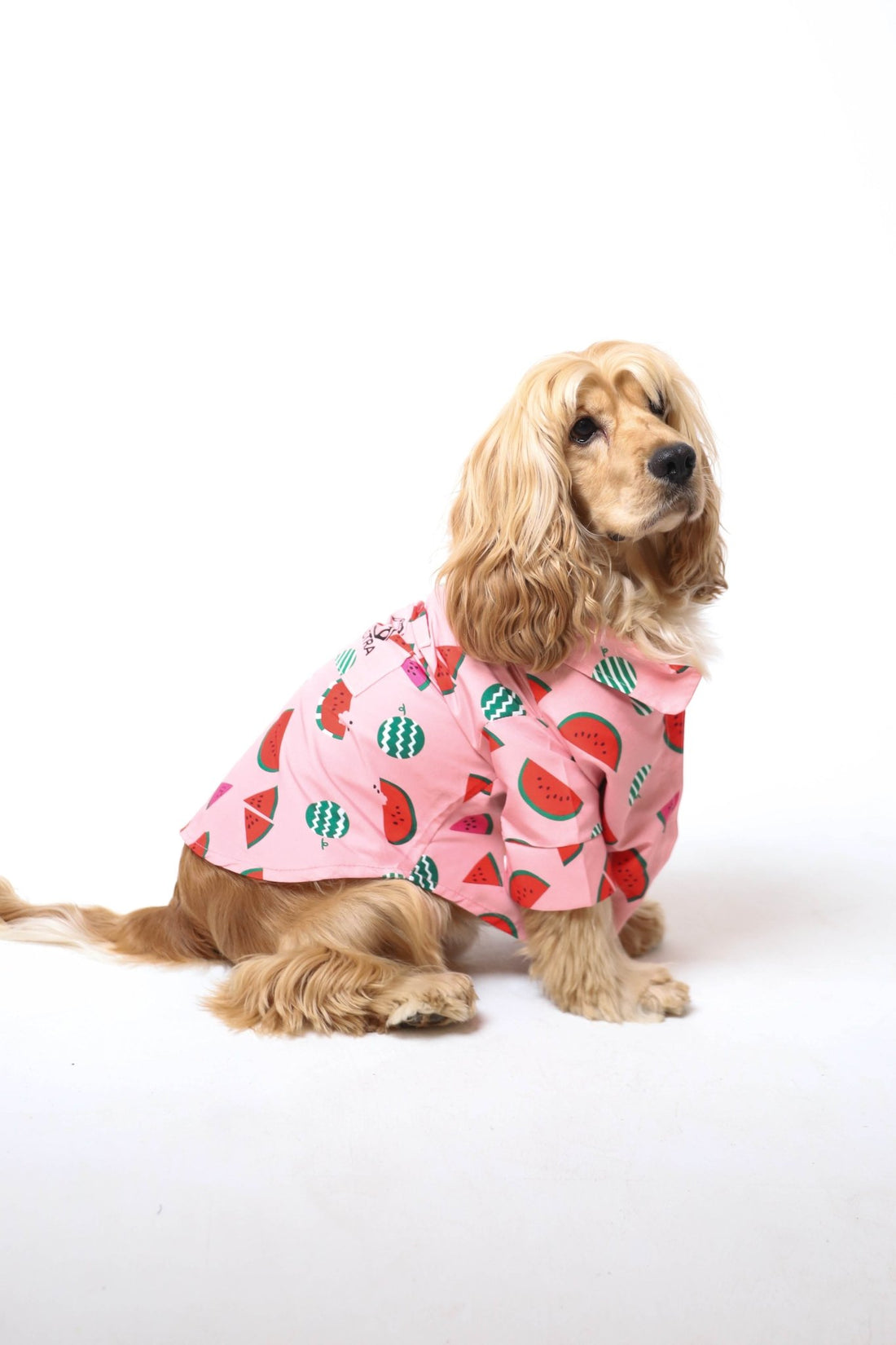 Watermelon - Astra-shop-eg